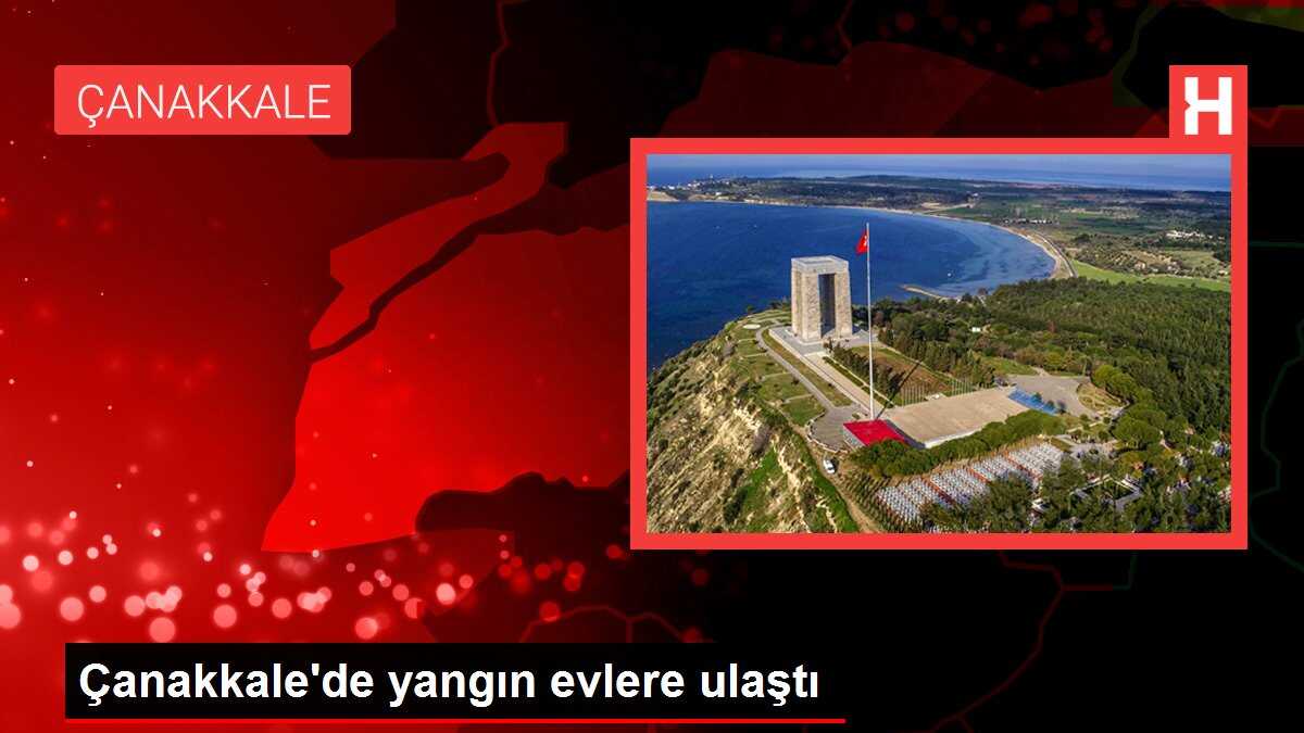 Çanakkale'de yangın evlere ulaştı