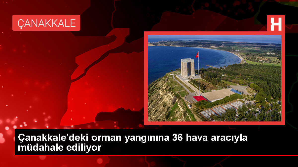 Çanakkale'de Orman Yangınına Müdahale Ediliyor