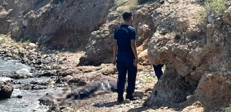 Muğla'nın Datça ilçesinde denizde bir kişinin cesedi bulundu