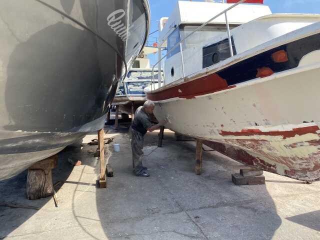 Denizlerde av yasağı 1 Eylül'de kalkıyor! Bu sene palamut, istavrit ve hamsinin bol olması bekleniyor