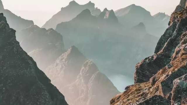 Her 200 kişiden sadece 1'i gördü! Gizlenmiş kartalı yalnızca şahin gözlüler bulabiliyor Her 200 kişiden sadece 1'i gördü! Gizlenmiş kartalı yalnızca şahin gözlüler bulabiliyor