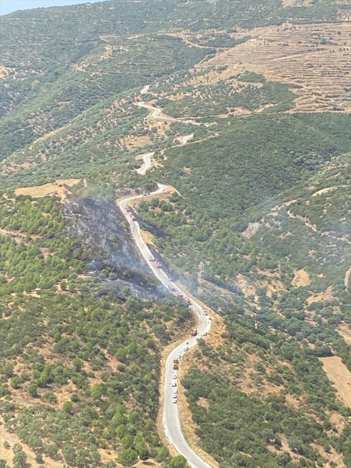 İzmir'in Ödemiş ilçesindeki orman yangını kontrol altına alındı