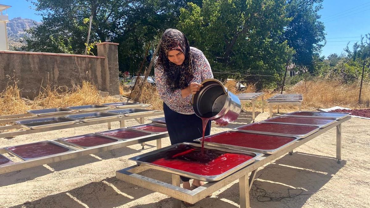 Kahramanmaraş'ta Girişimci Kadın Sumak Ekşisi İle İş Yeri Açtı