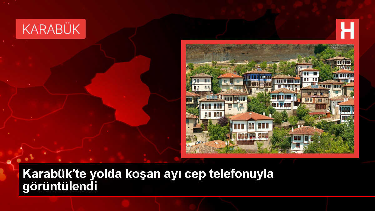 Karabük'te yolda koşan ayı cep telefonuyla görüntülendi