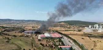 Manisa'da Katı Atık Bertaraf Tesisi Yangını