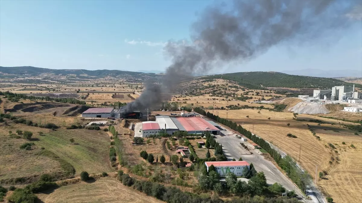 Manisa'da Katı Atık Bertaraf Tesisi Yangını
