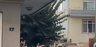 Derince'de Zabıta Memuru ile Karton Toplayıcıları Arasında Kavga Çıktı