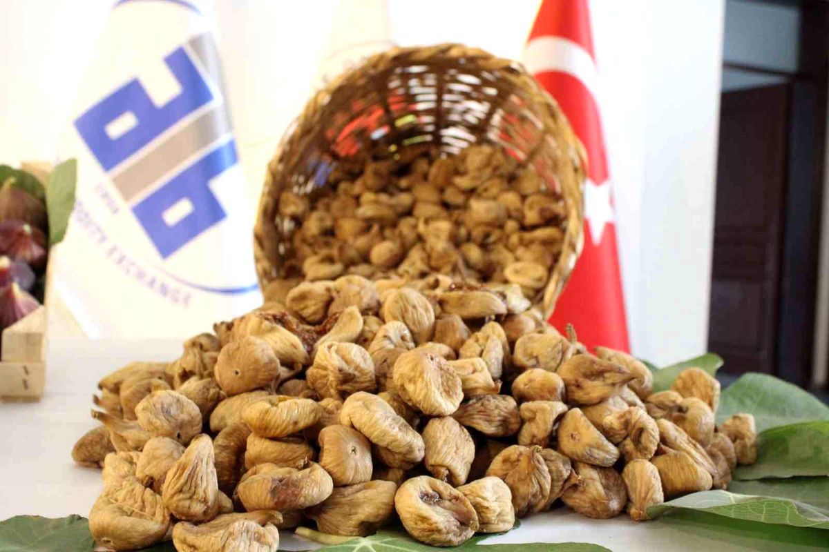 Aydın'da Sezonun İlk Kuru İnciri 350 TL'den Alındı