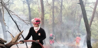 Kadıköy Belediyesi Çanakkale'deki Yangında Soğutma Çalışmalarına Destek Veriyor