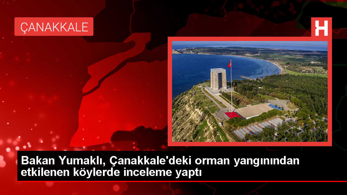 Tarım Bakanı Yumaklı, yangından etkilenen köyleri ziyaret etti