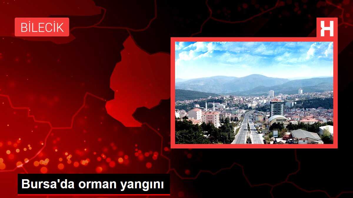 Bursa'da orman yangını