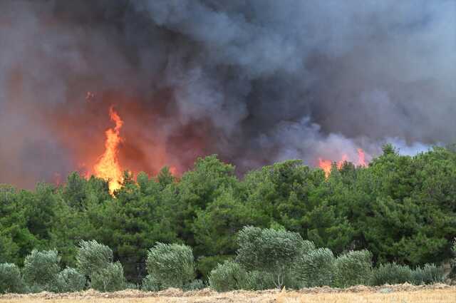 Çanakkale'deki orman yangınında 11 köy tahliye edildi