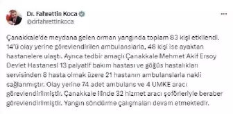 Çanakkale'deki Orman Yangınında 83 Kişi Etkilendi
