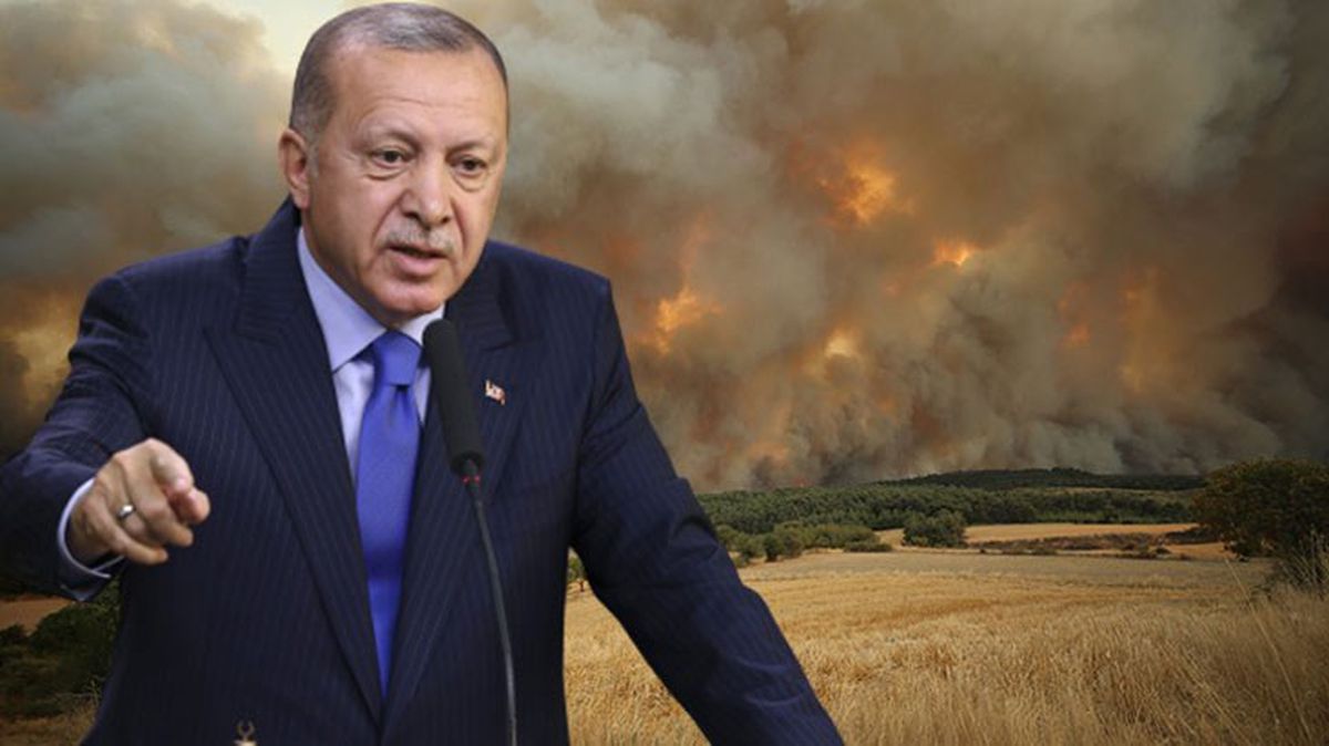 Cumhurbaşkanı Erdoğan'dan Çanakkale'deki orman yangına ilişkin açıklama: Yayılması durduruldu