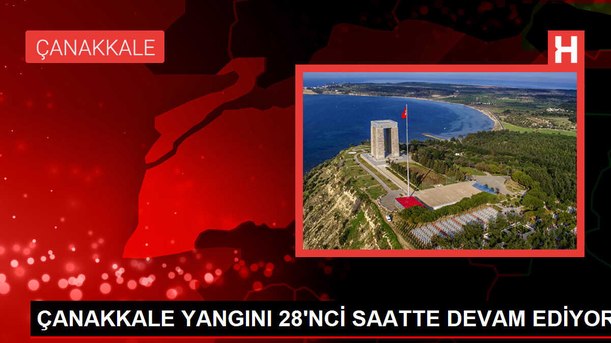 Eskişehir'de Tarla Yangını Ormana Sıçradı