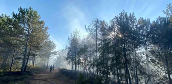 Kastamonu'da Orman Yangını Kontrol Altına Alınmaya Çalışılıyor