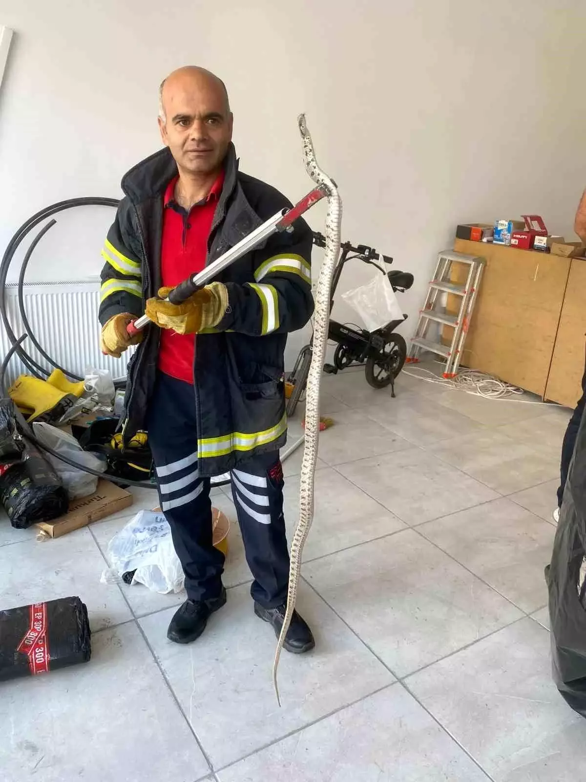 Erzincan'da Ofise Giren Zehirli Yılan Korkuttu