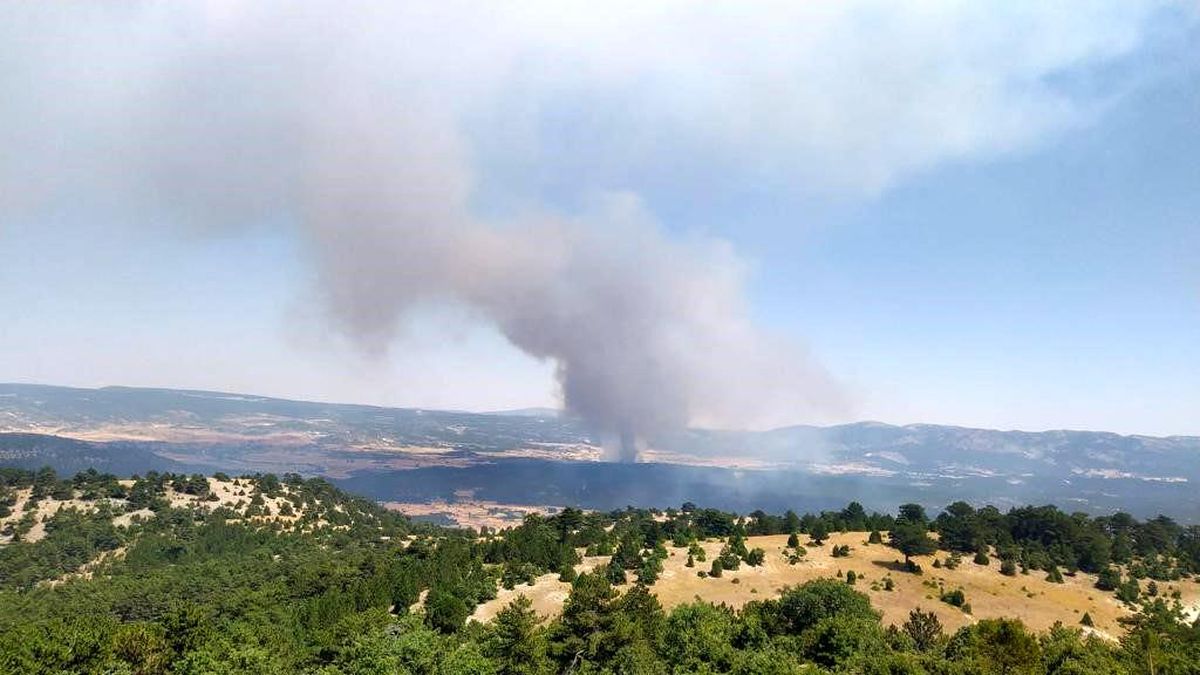 Eskişehir'de Orman Yangınına Müdahale Başlatıldı