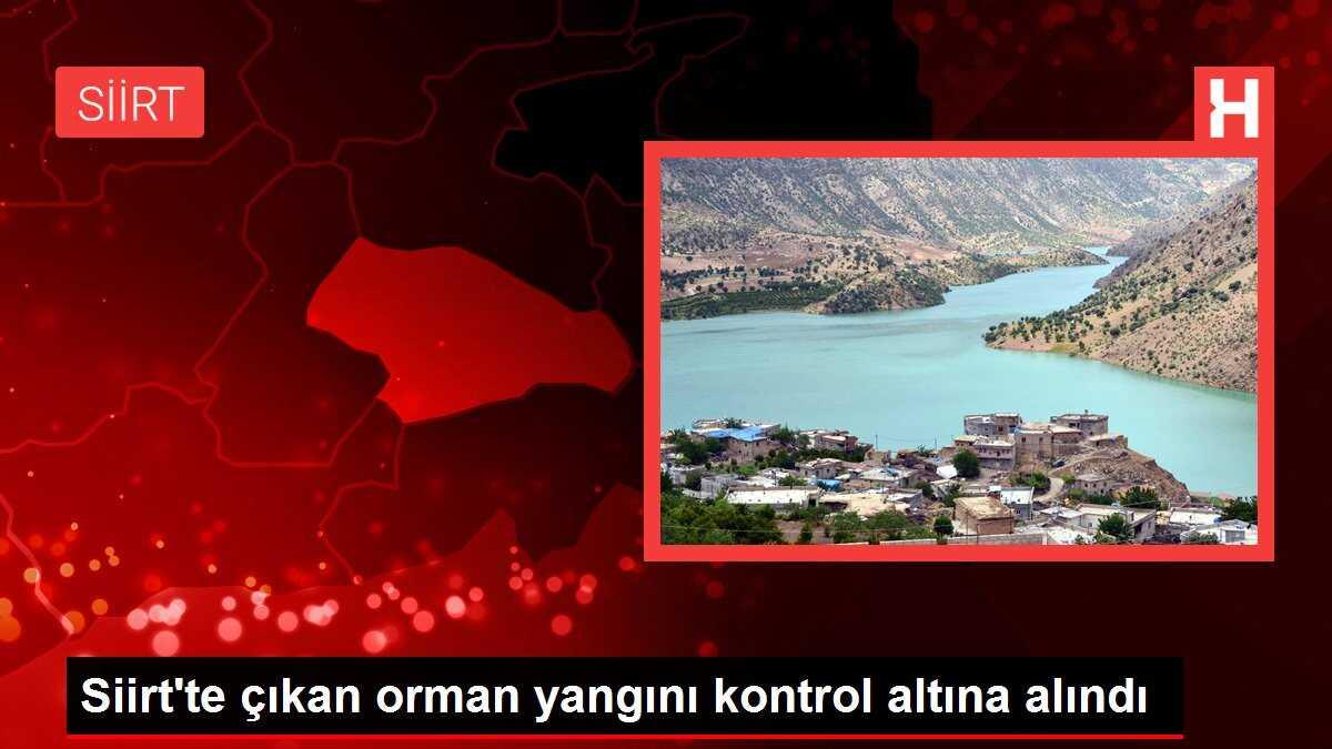Siirt'te çıkan orman yangını kontrol altına alındı