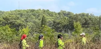Alman Kadın Turistin Kaybolma Olayında Havadan Destek Kullanıldı