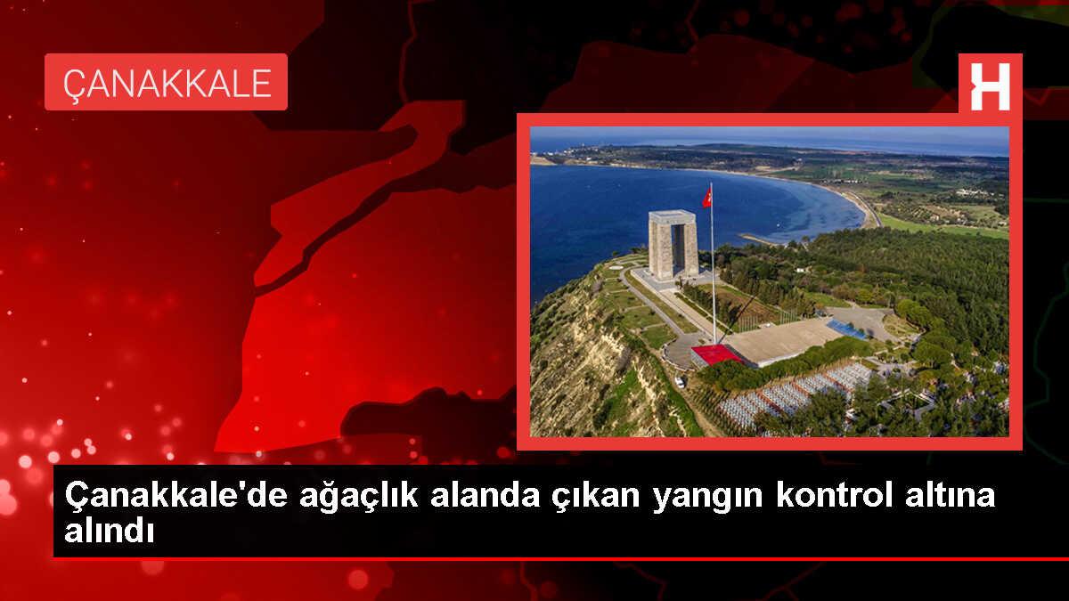 Çanakkale'nin Biga ilçesinde çıkan yangın kontrol altına alındı