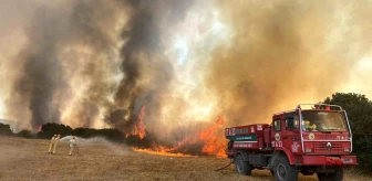 Çanakkale'nin Biga ilçesinde ağaçlık alanda yangın çıktı