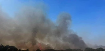 Çanakkale'nin Biga ilçesinde ağaçlık alanda çıkan yangına müdahale ediliyor