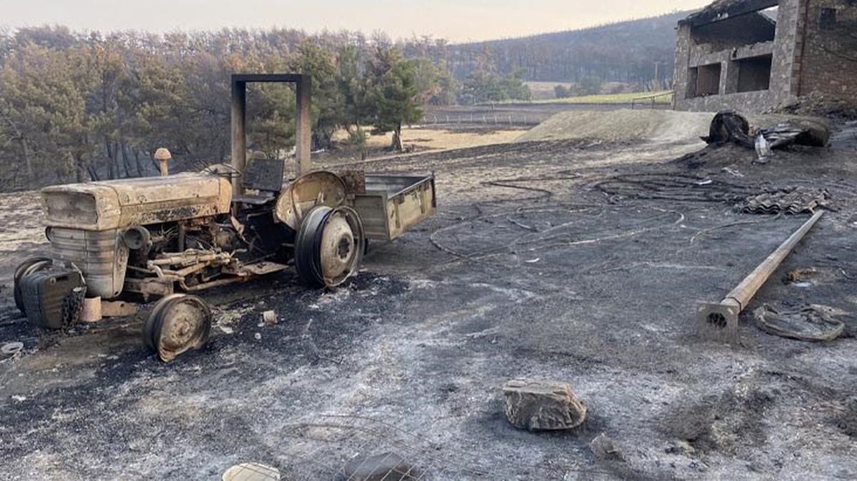 Çanakkale'deki orman yangınında acı tablo! Alevlerin sardığı köyden geriye bu kareler kaldı