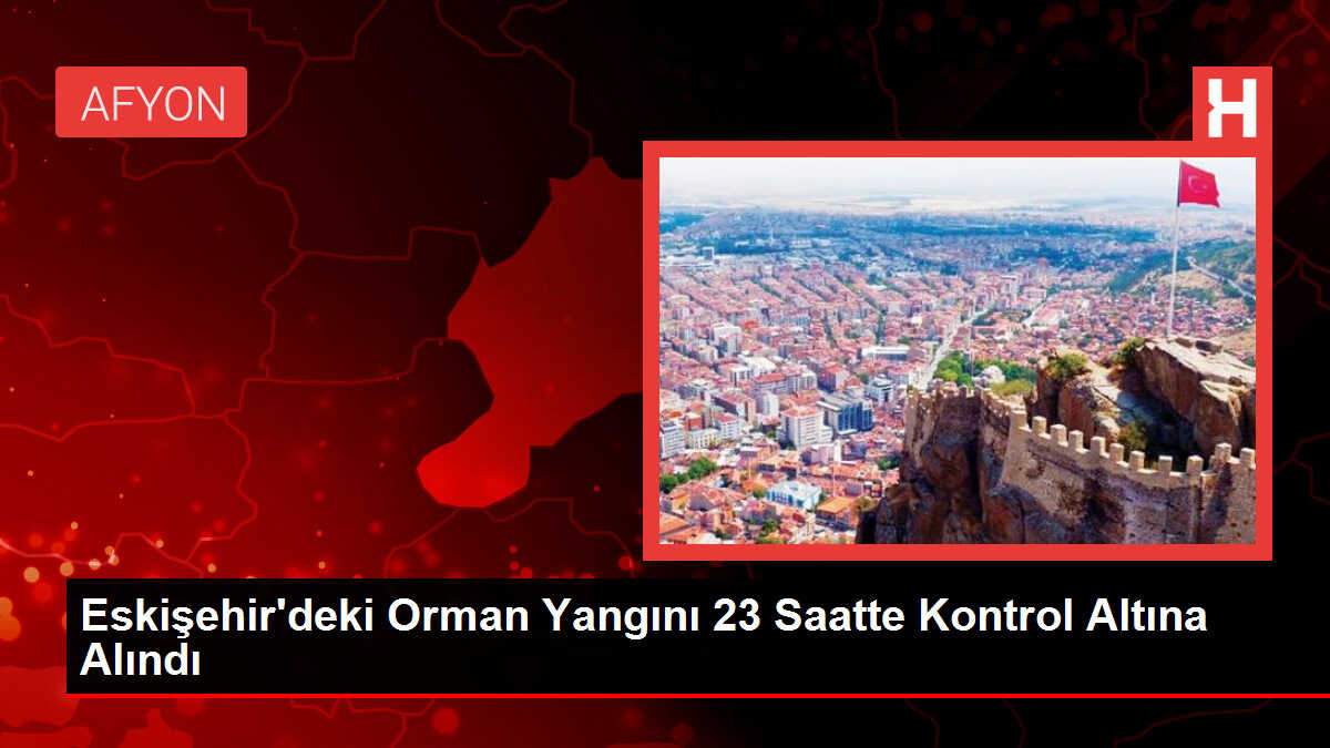 Eskişehir'deki Orman Yangını 23 Saatte Kontrol Altına Alındı