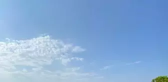Foça'da 62 Kaçak Göçmen Yakalandı