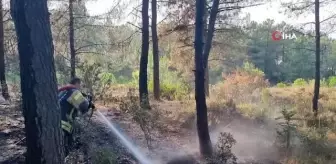 Ormanlık alanda çıkan yangın büyümeden söndürüldü