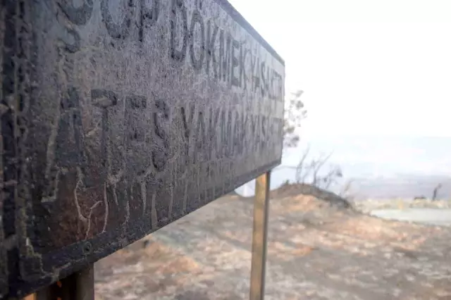 Çanakkale'deki orman yangınında acı tablo