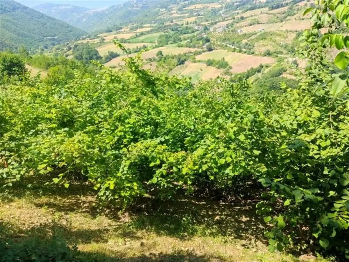 Yakakent Camilerine Çocuklar İçin Kale ve Masa Tenisi