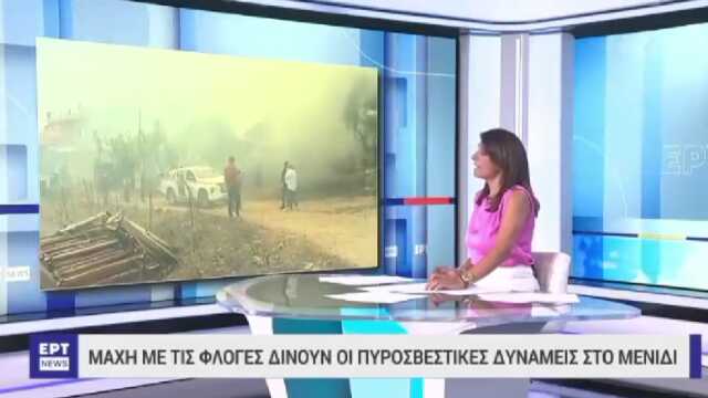 Yangın sonrası bulunan 18 cesetle ilgili Yunan spikerden kan donduran sözler: Kömürleşmiş göçmenler dışında hiçbir insanımızı kaybetmedik