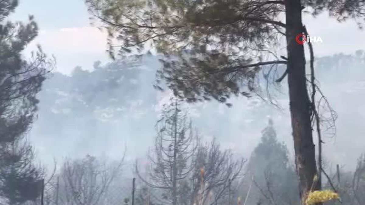 Antalya'da bozuk ormanlık alanda başlayan yangına müdahale ediliyor
