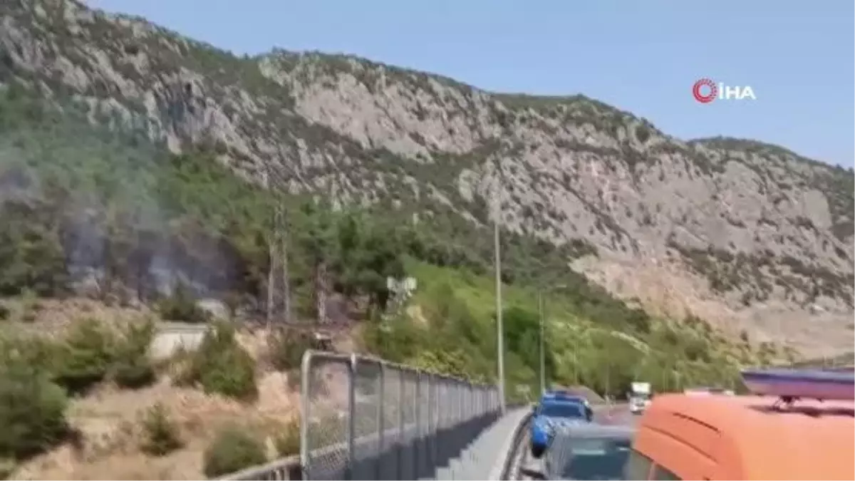Bilecik'te çıkan orman yangını kontrol altına alındı