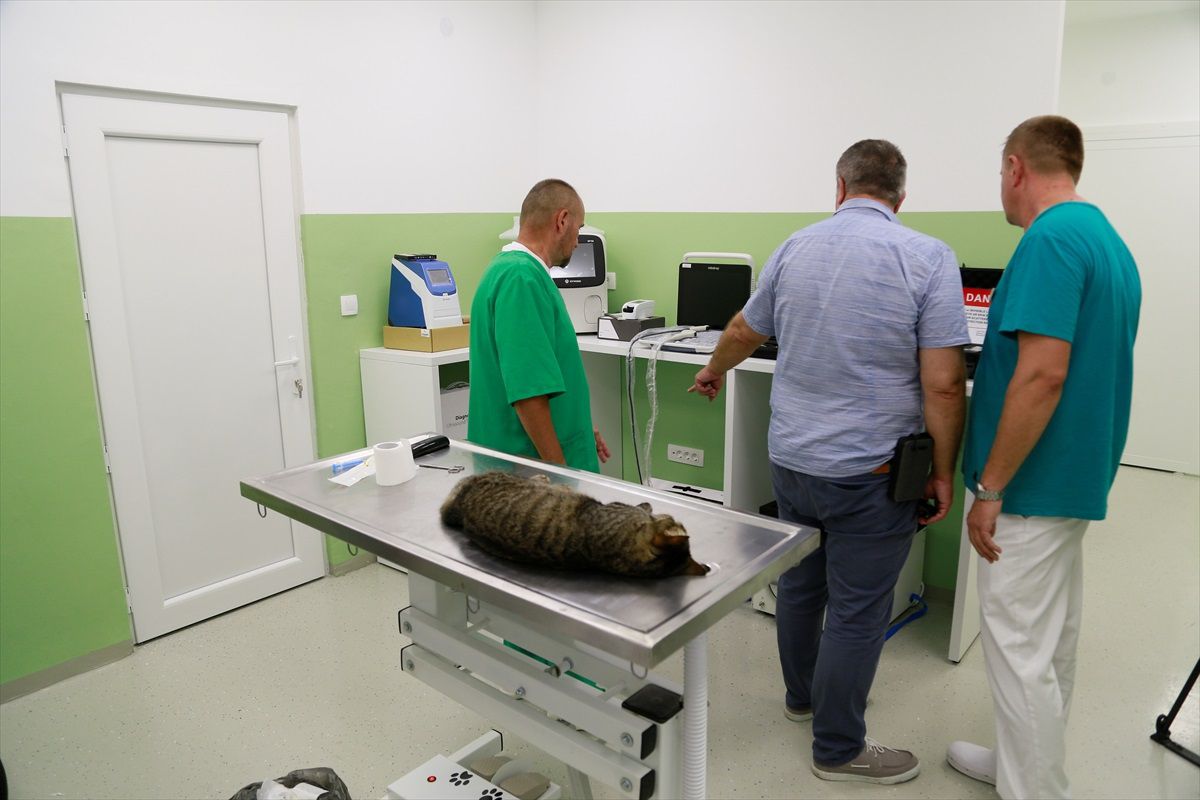 Bosna Hersek'te Yaralı ve Hasta Hayvanlar İçin Acil Servis Hizmete Açıldı
