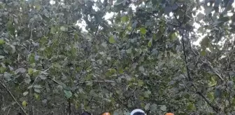 Giresun'da yamaçtan yuvarlanan çocuk yaralandı