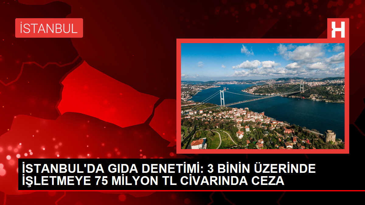 İstanbul'da toplu tüketim yerlerinde gıda denetimi sıkılaştırıldı