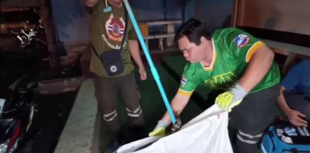 Yaşlı Adam uyuduğu sıra bacağına dolanın yılanı ısırarak kurtuldu