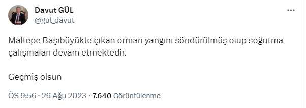 İstanbul Maltepe'de orman yangını çıktı, ekipler bölgeye sevk edildi