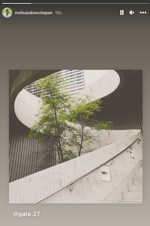 Kaza geçiren Ali Sabancı yaşam mücadelesi verirken Melisa Sabancı'nın yaptığı sanat paylaşımı tepki çekti Kaza geçiren Ali Sabancı yaşam mücadelesi verirken Melisa Sabancı'nın yaptığı sanat paylaşımı tepki çekti