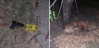 Kirayı artırmak isteyen ev sahibi, kiracısını bıçaklayıp köpeğini öldürdü