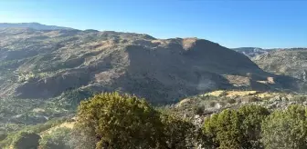 Malatya'nın Pütürge ilçesinde ormanlık alanda çıkan yangın söndürüldü