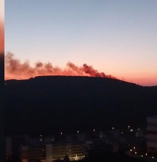 İstanbul Maltepe'de orman yangını çıktı, ekipler bölgeye sevk edildi