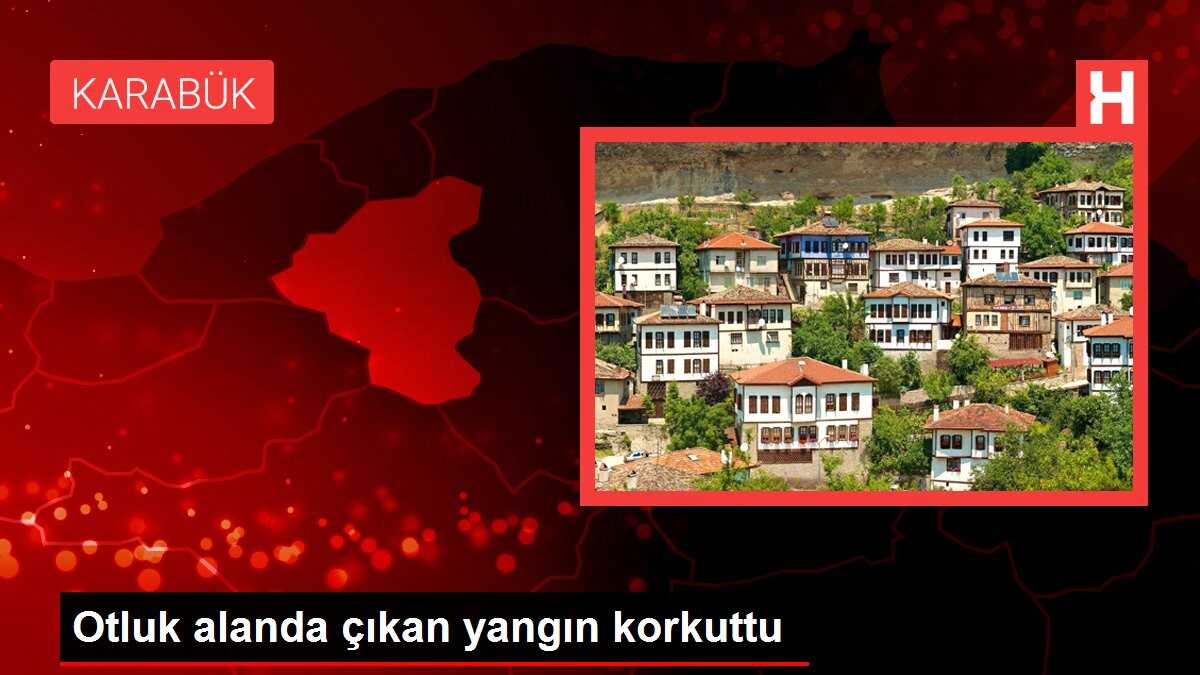 Otluk alanda çıkan yangın korkuttu