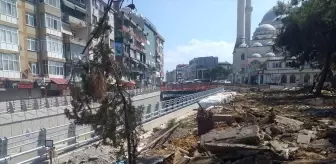 Maltepe Meydan Projesi kapsamında 17 çam ağacı söküldü