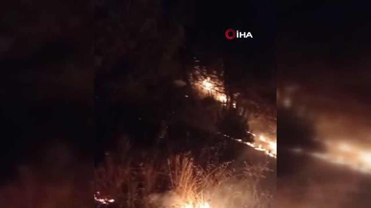 Karabük'te çam ağaçlarının bulunduğu alanda çıkan örtü yangını söndürüldü