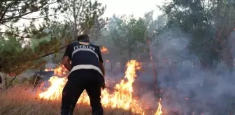 Kars'ta Üniversite Yerleşkesinde Çıkan Ağaçlık Yangını Söndürüldü