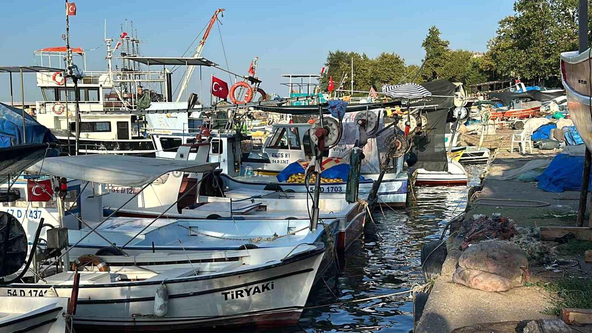 Balıkçılar, 1 Eylül'de başlayacak balık av sezonu için hazırlıklarını tamamladı